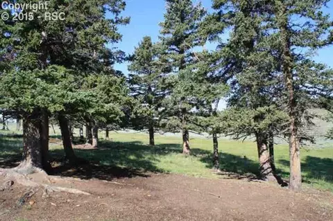 270 County Road 51 Na Na, Divide, CO 80814 photo 11