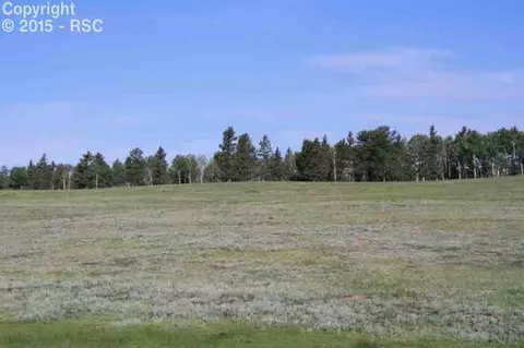 270 County Road 51 Na Na, Divide, CO 80814 photo 5