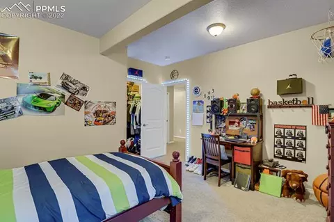 12667 Wheeler Peak Dr, Peyton, CO 80831 photo 38