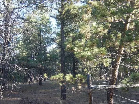 12250 Melba Rd, Elbert, CO 80106 photo 3
