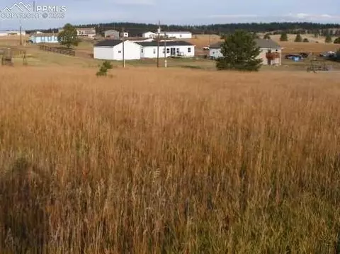 351 Doublet Ln, Divide, CO 81814 photo 5