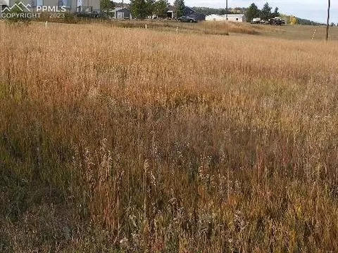 351 Doublet Ln, Divide, CO 81814 photo 3