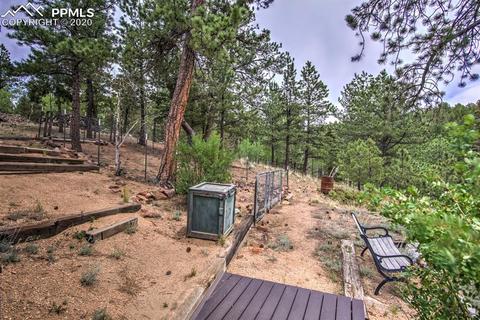 258 Spruce Creek Rd, Divide, CO 80814 photo 5