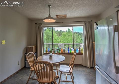 258 Spruce Creek Rd, Divide, CO 80814 photo 10