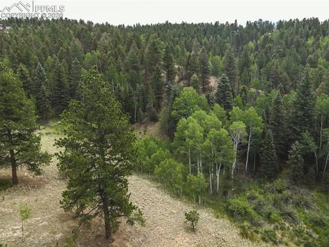 258 Spruce Creek Rd, Divide, CO 80814 photo 29