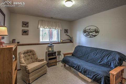 258 Spruce Creek Rd, Divide, CO 80814 photo 21