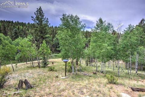 258 Spruce Creek Rd, Divide, CO 80814 photo 4