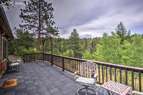 258 Spruce Creek Rd, Divide, CO 80814 photo 3