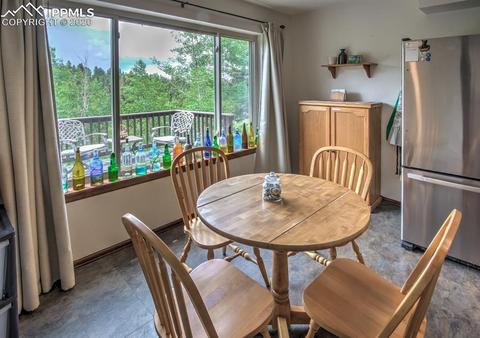 258 Spruce Creek Rd, Divide, CO 80814 photo 11