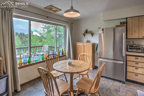 258 Spruce Creek Rd, Divide, CO 80814 photo 8