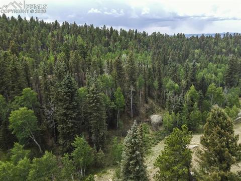 258 Spruce Creek Rd, Divide, CO 80814 photo 30