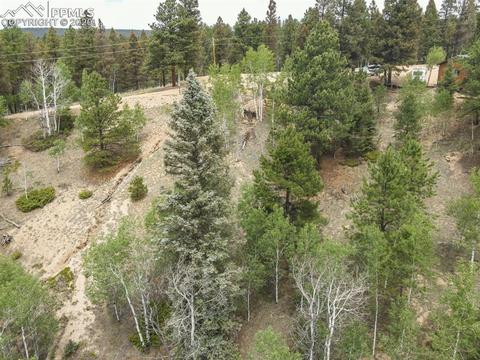 258 Spruce Creek Rd, Divide, CO 80814 photo 32