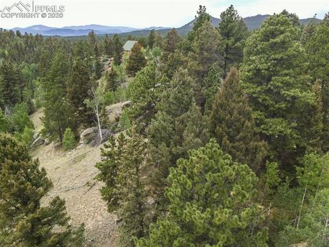 258 Spruce Creek Rd, Divide, CO 80814 photo 31