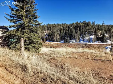 385 Shadow Lake Dr, Divide, CO 80814 photo 2