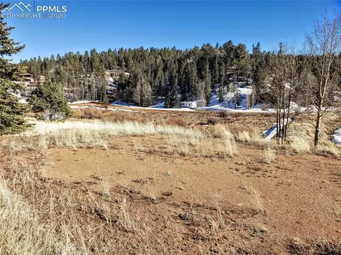385 Shadow Lake Dr, Divide, CO 80814 photo 9