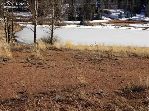 385 Shadow Lake Dr, Divide, CO 80814 photo 5
