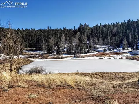 385 Shadow Lake Dr, Divide, CO 80814 photo 13