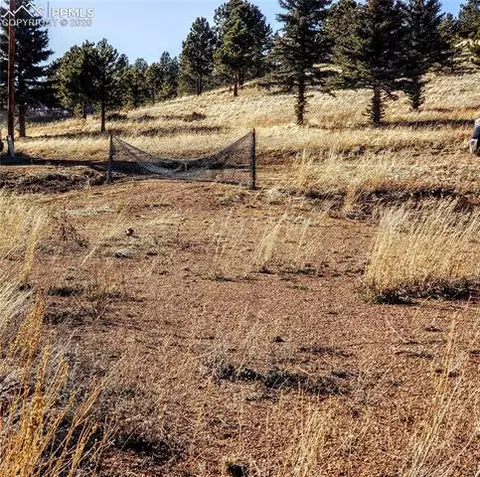 385 Shadow Lake Dr, Divide, CO 80814 photo 14