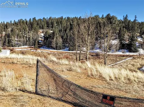 385 Shadow Lake Dr, Divide, CO 80814 photo 15