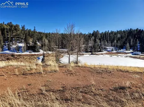 385 Shadow Lake Dr, Divide, CO 80814 photo 4