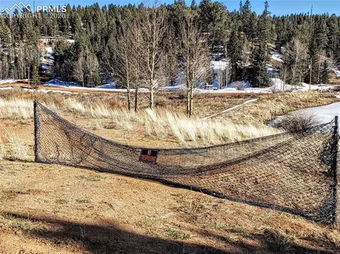 385 Shadow Lake Dr, Divide, CO 80814 photo 16