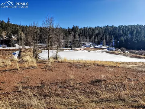 385 Shadow Lake Dr, Divide, CO 80814 photo 1