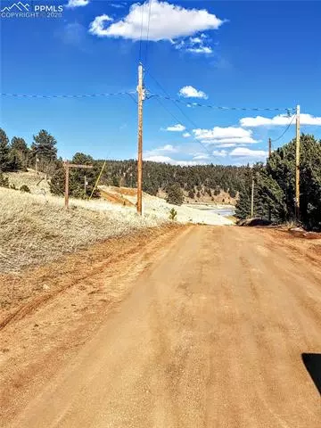 385 Shadow Lake Dr, Divide, CO 80814 photo 18