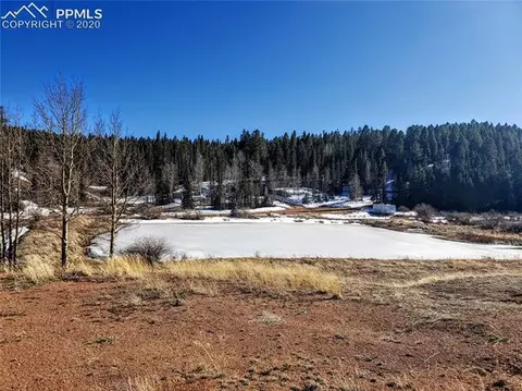 385 Shadow Lake Dr, Divide, CO 80814 photo 12
