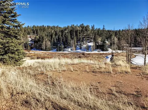 385 Shadow Lake Dr, Divide, CO 80814 photo 3
