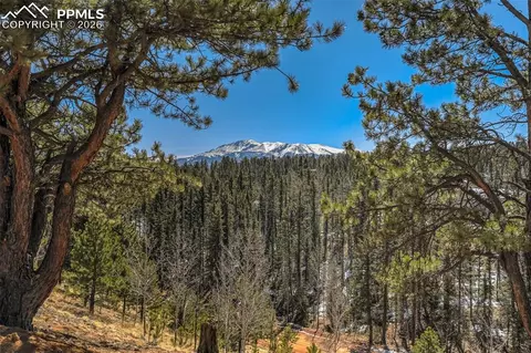 216 Ridge Rd, Divide, CO 80814 photo 4