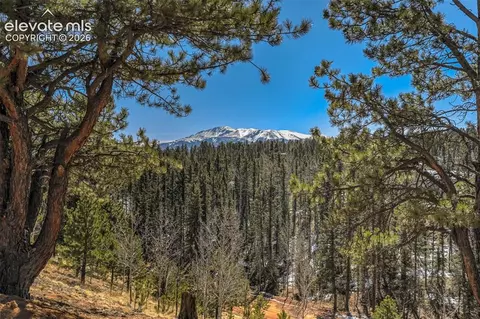 216 Ridge Rd, Divide, CO 80814 photo 4