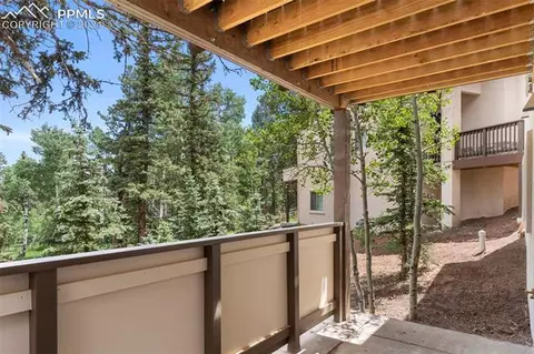 196 Shannon Pl, Divide, CO 80814 photo 5