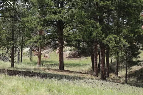 247 Deerfield Cir, Florissant, CO 80816