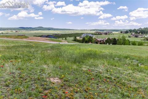 19642 Guildford Ct, Monument, CO 80132 photo 11