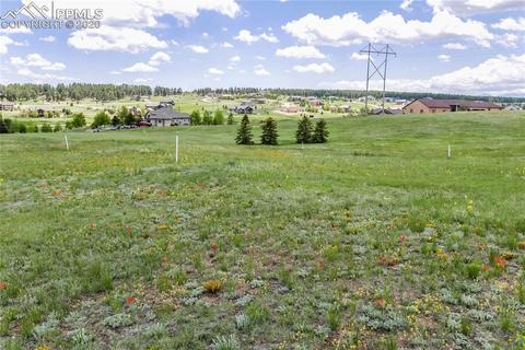 19642 Guildford Ct, Monument, CO 80132 photo 9