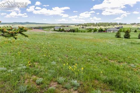 19642 Guildford Ct, Monument, CO 80132 photo 10