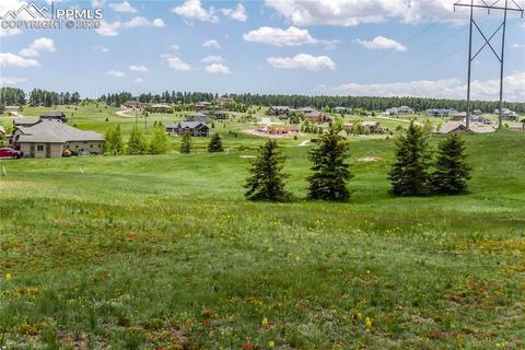 19642 Guildford Ct, Monument, CO 80132 photo 8