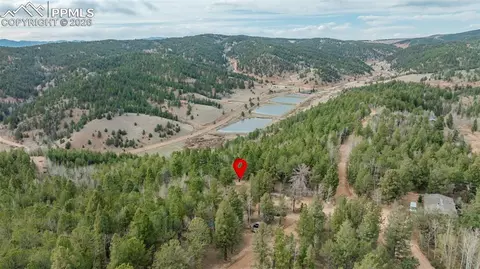 Other - 847 Timber Ridge Rd, Divide, CO 80814 photo 16 of 20