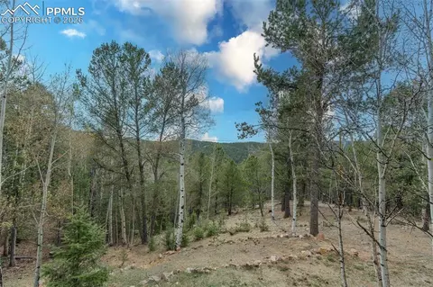 Other - 847 Timber Ridge Rd, Divide, CO 80814 photo 19 of 20