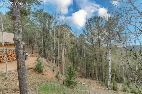 Other - 847 Timber Ridge Rd, Divide, CO 80814 photo 19 of 19