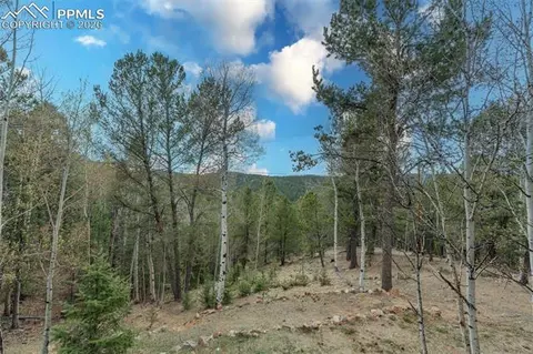 Other - 847 Timber Ridge Rd, Divide, CO 80814 photo 18 of 19