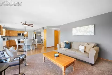 3530 Doolittle Rd, Monument, CO 80132 photo 30