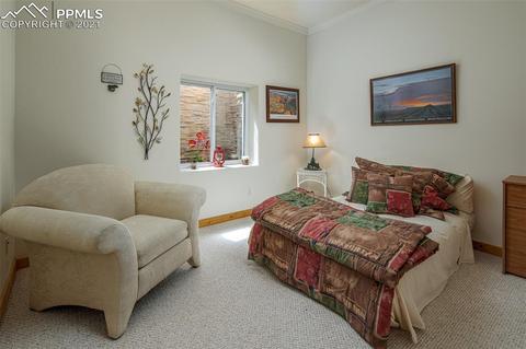 9935 Mountain Rd, Cascade, CO 80809 photo 29