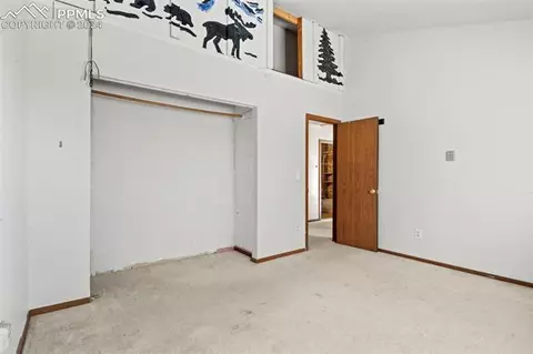 371 Rangeview Rd, Divide, CO 80814 photo 28