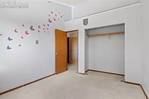 371 Rangeview Rd, Divide, CO 80814 photo 26