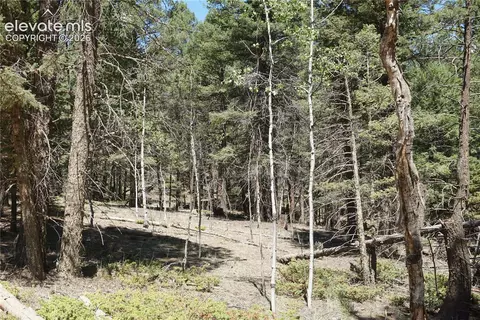 616 Indian Creek Rd, Florissant, CO 80816