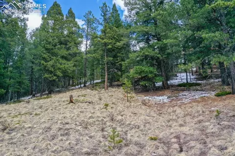 tbd Valley Rd, Divide, CO 80814