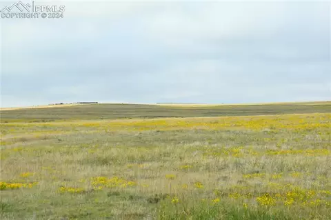 E Jones Road, Yoder, CO 80864 photo 13