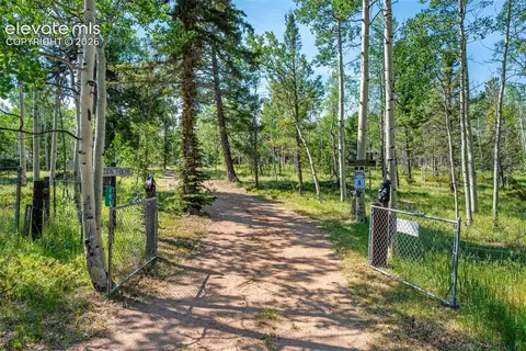 106 Forest Ct, Guffey, CO 80820