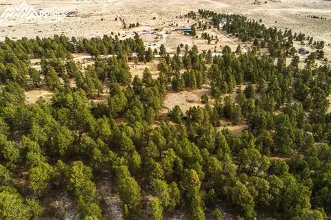 18510 Birdseye Vw, Peyton, CO 80831 photo 24